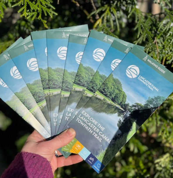 Screenshot 2025-06-26 095529